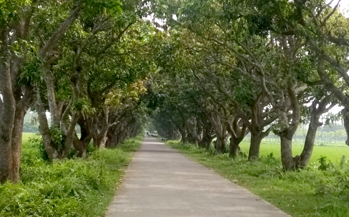 Botanical Garden, Mymensingh