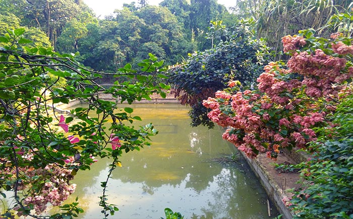 Baldha Garden