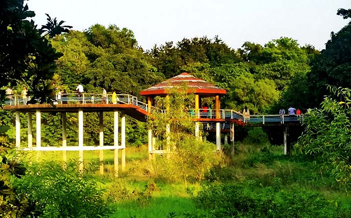 National Botanical Garden