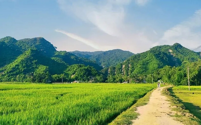Saat Shohid-er Mazar, Kalmakanda, Netrokona.